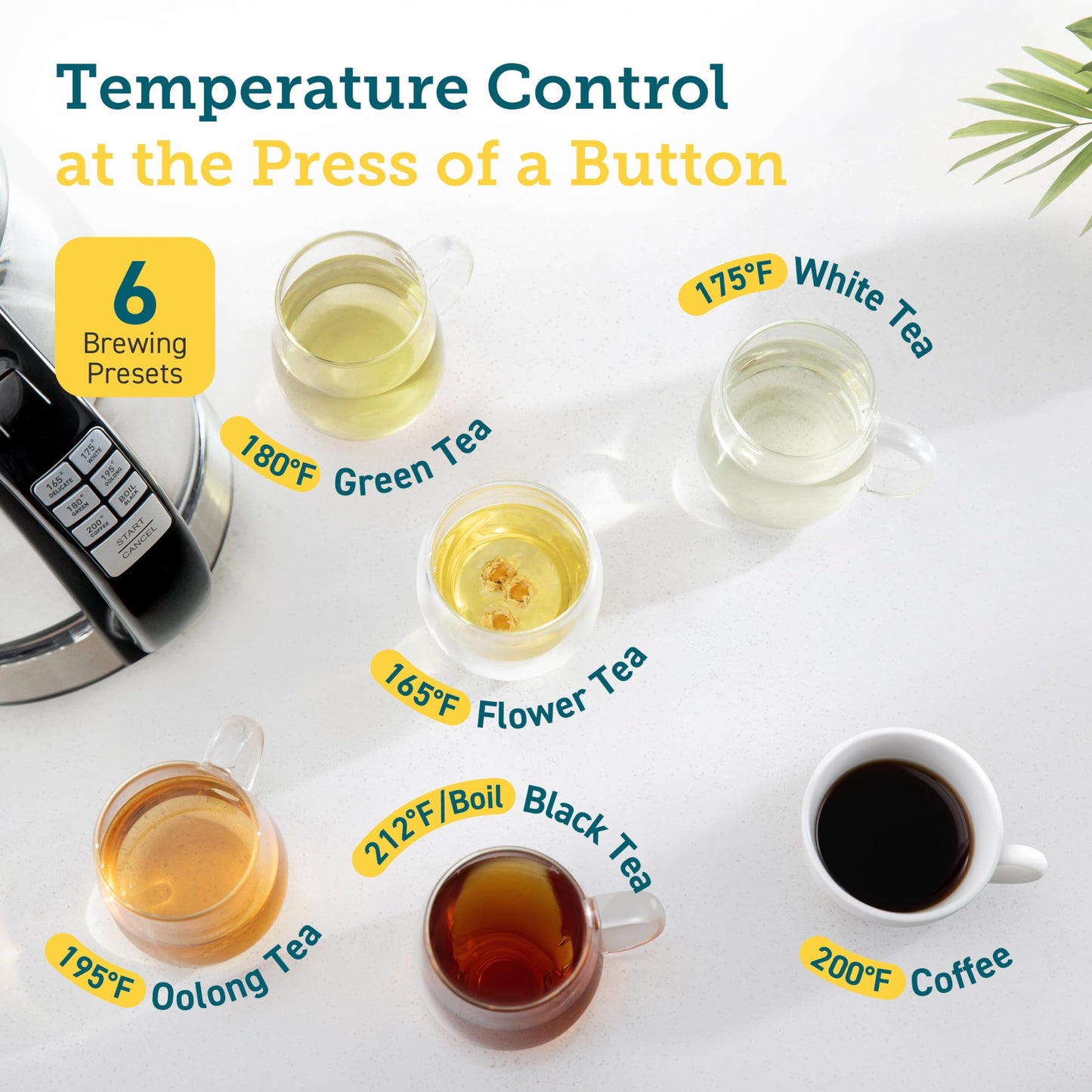 Fast-Boil Electric Kettle with Temperature Control