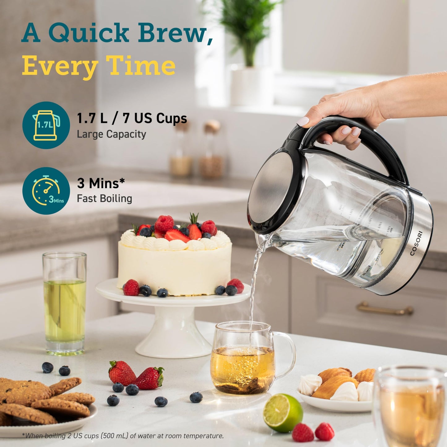 Fast-Boil Electric Kettle with Temperature Control