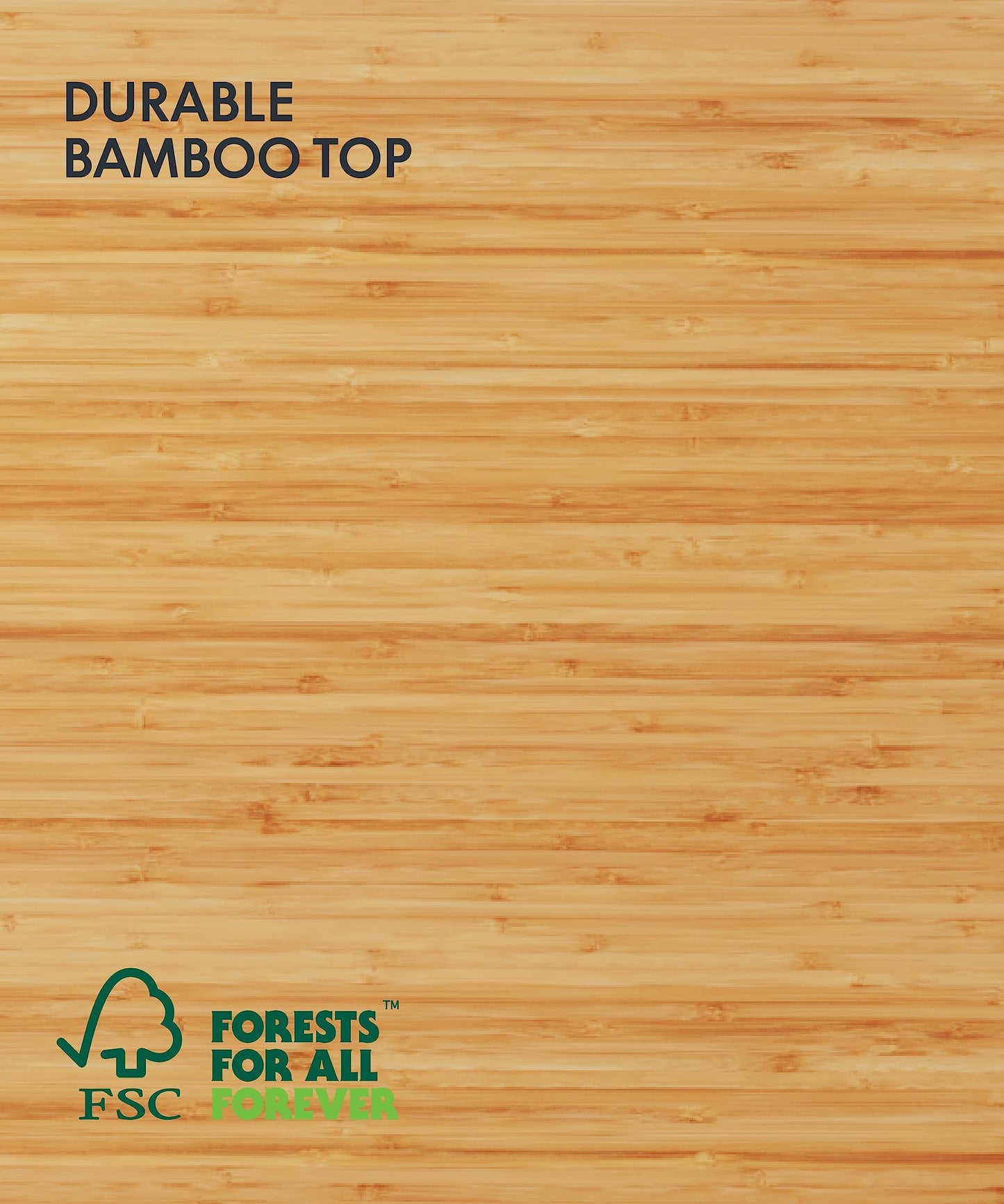 The Foundation of Your New Energy FLEXISPOT E6 MAX Bamboo Dual Motor 3 Stages Standing Desk